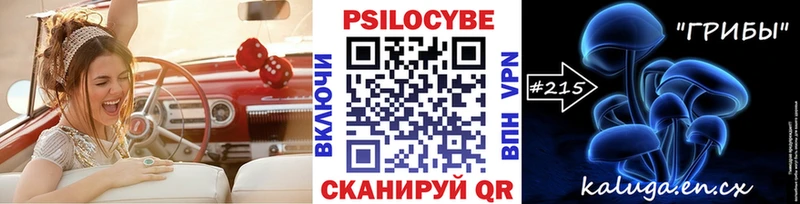 Псилоцибиновые грибы прущие грибы купить наркоту Мценск