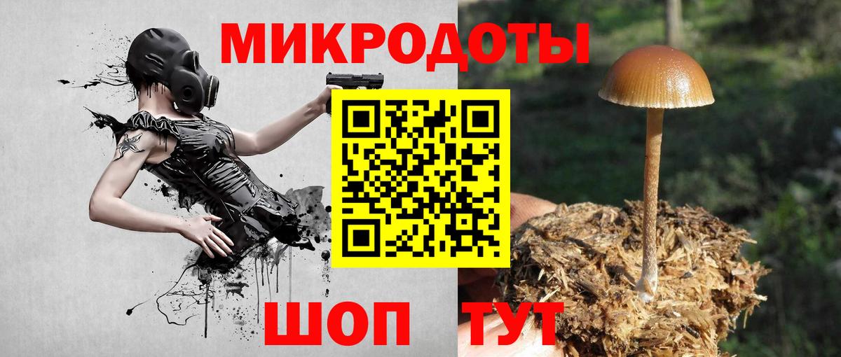 Псилоцибиновые грибы прущие грибы  Мценск 