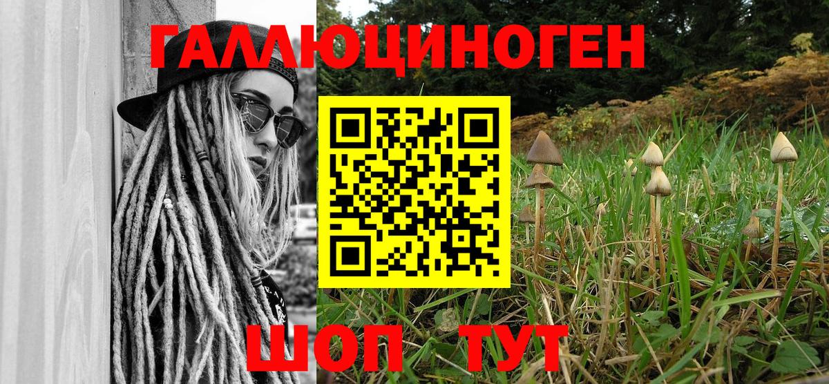 Мценск  Галлюциногенные грибы ЛСД  Вход с VPN  Галлюциногенные грибы Psilocybine cubensis 