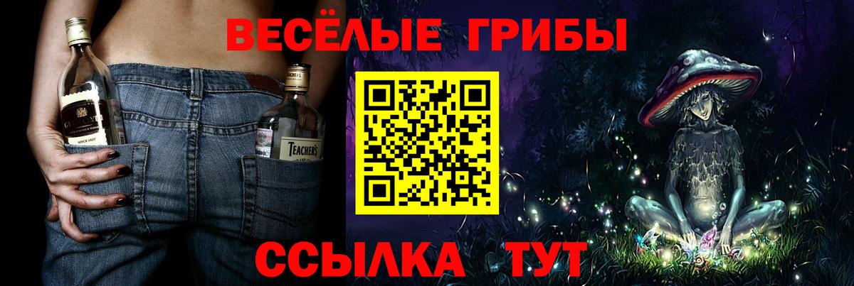 Псилоцибиновые грибы мицелий Мценск